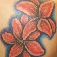 Tatuaje de lirios color rosa con sombra azul