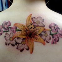 Le tatouage de fleur de lys étoile du matin avec des fleurs bleues pâles sur le dos
