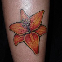 Morning star lily tattoo