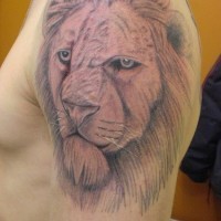 El tatuaje de la cabeza de un leon con ojos de color en el hombro o brazo