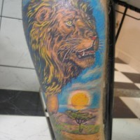 Lion in prairie colourful tattoo