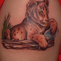 Löwenjunge farbiges Tattoo
