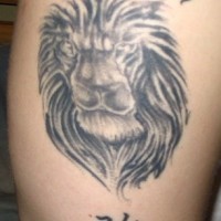 Judah lion with hieroglyphs tattoo