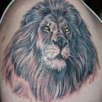 El tatuaje realista de la cabeza de un leon con una melena grande con ojos de color