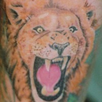 Angry roaring lion tattoo