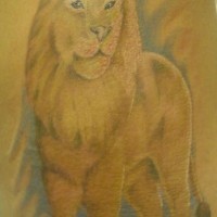 Pale coloured lion tattoo