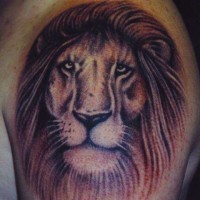 Old male lion head tattoo