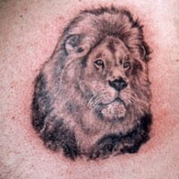 El tatuaje realista de la cabeza de un leon con una melena grande en color negro