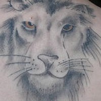 El tatuaje de la cabeza de un leon con ojos de color en la espalda