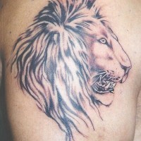 Detailed tribal lion head tattoo
