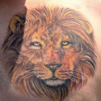 El tatuaje de la cabeza de un león realista en color