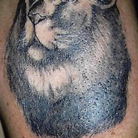 Lion head black in tattoo