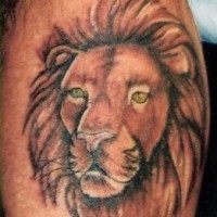 El tatuaje de la cabeza de un león con ojos de color en la pierna