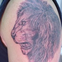 El tatuaje de la cabeza de un león en perfil hecho en el brazo