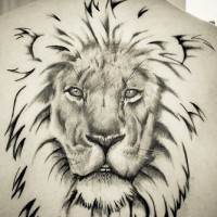 El tatuaje grande realista de la cabeza de un leon en color negro en la espalda