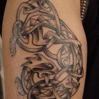 Celtic knotted lion tattoo