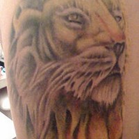 El tatuaje de la cabeza de un leo amarillo con una corona roja hecho en un hombro