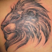 Detailed lion's head tattoo