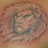Verärgerter Löwe mit großer Mähne Tattoo