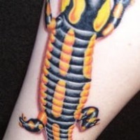 El tatuaje realista y detallado de una lagartija de color negro y amarillo