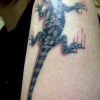 El tatuaje realista de una lagartija rascando la piel en el brazo o hombro