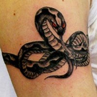 Evil black snake armband tattoo
