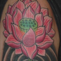 Pink water lotus tattoo in colour
