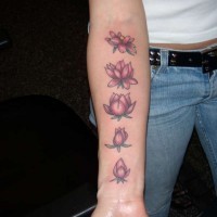 Stages of lotus blossom arm tattoo