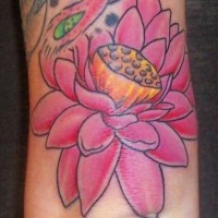 Pink lotus part of tattoo