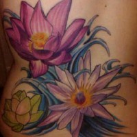 el tatuaje muy tierno de tres flores de loto de color  morado y verde hecho en la espalda