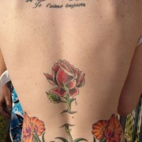 Tatuaggio sulla lombo grandi fiori colorati la rosa & le orchidee  ; tatuaggio sulla schiena la chiave