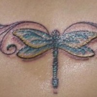 Libelle Maßwerk Tattoo am unteren Rücken