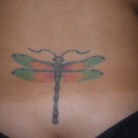 Lower back tattoo, thin, green and red dragonfly