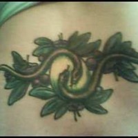 Lower back tattoo, two snakes hold an egg