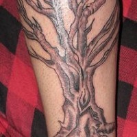 Lower leg tattoo, big black tree without leaves