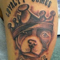 Le tatouage de chien en couronne avec une inscription Loyalty comes free