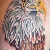 Melting eagle tattoo in colour