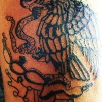 el tatuaje de ua aguila peleando con una serpiente hecho con tinta negra