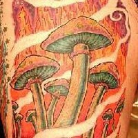 Magic mushrooms coloured tattoo