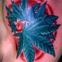 El tatuaje de una hoja de marihuana azul en el fondo de color rojo hecho en el hombro