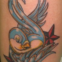 Blue bird with stars tattoo