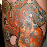 Tatouage de poulpe orange avec des cercles sur le mollet