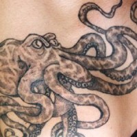 Strict octopus tattoo in dark color