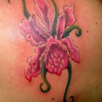 el tatuaje de una orquidea de color rosa palido en la espalda