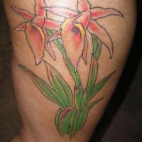 el tatuaje de dos orquideas con sus tallos en la pierna