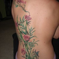 el tatuaje grande de las orquideas creciendo entre el babmu hecho en la espalda