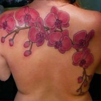 el tatuaje grande femenino de las orquideas rosas en la espalda