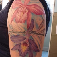 el tatuaje muy hermoso con dos orquideas rosa y morada hecho en el hombro