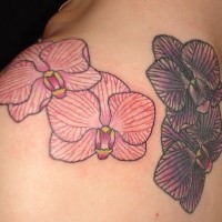 el tatuaje minimalista y hermoso con orquideas de diferentes colores hecho en la espalda y hombro