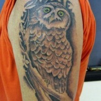 Tatuaje en el hombro de un búho.
